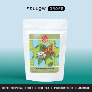 Wilton Benitez Gesha